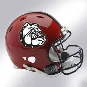 Helmet Decals - Team Exclusive