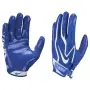 Gants de receveur Nike Vapor Jet 9.0 Bleu roi