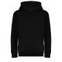 Team - Embroidered EST. Classic Cotton Hoodie