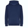 Team - Embroidered EST. Classic Cotton Youth Hoodie