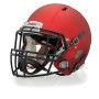 Attach Facemask Speed Icon
