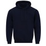 Team - Wordmark Classic Cotton Hoodie