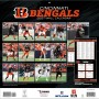 Cincinnati Bengals 12" x 12" 2027 Wall Calendar Back