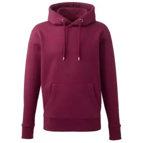 Premium Embroidered Text Cotton Hoodie
