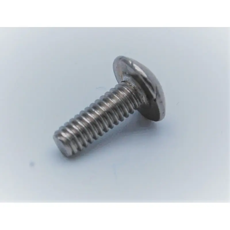 Helmet Screws
