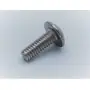Helmet Screws