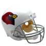 Arizona Cardinals Mini VSR4