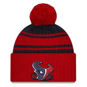 Houston Texans New Era 2022 Sideline Bobble