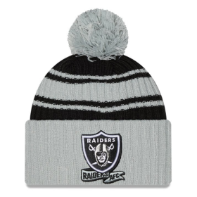 Bobble des Las Vegas Raiders New Era 2022 Sideline