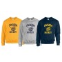 copy of Organic Cotton Hoodie