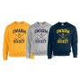 copy of Organic Cotton Hoodie