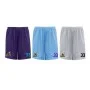 Hornets AFC - Embroidered Mesh Shorts