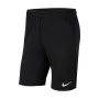 Nike Embroidered Pocketed Shorts