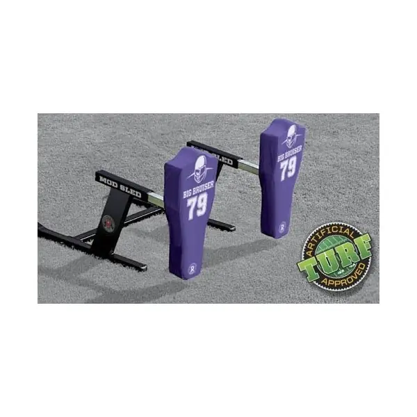 2-l'HOMME Mod de Traîneau