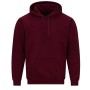 Essentials - Felpa con cappuccio in cotone classico con testo inclinato