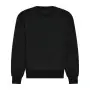 Varsity - Arch Text Embroidered & Printed Signature Sweatshirt