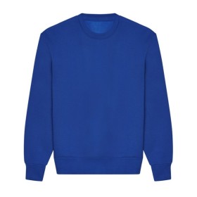 Varsity - Arch Text Embroidered & Printed Sweatshirt