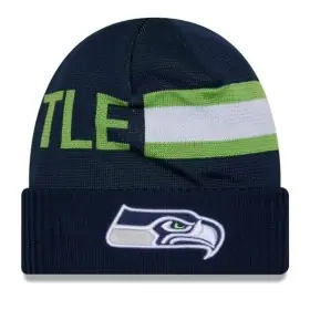 Gorro Seattle Seahawks New Era 2024 Frontal