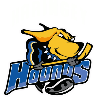 Haringey Hounds Ice Hockey