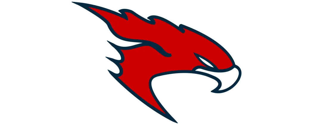 Kent Falcons