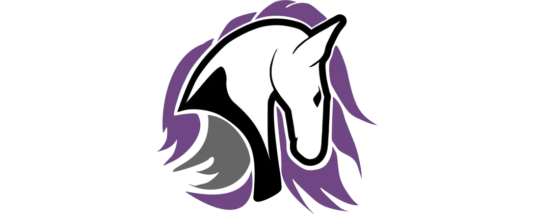 Leeds Chargers