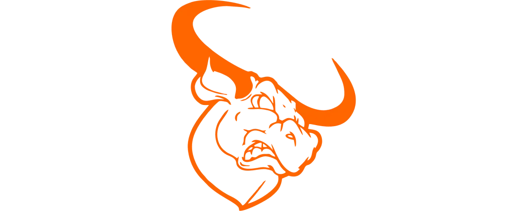 Longhorns du Lincolnshire