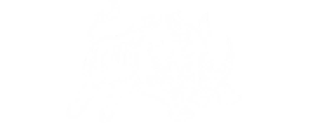 Soly Rhinos