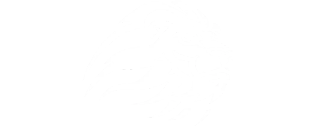 Birmingham Lions Academy