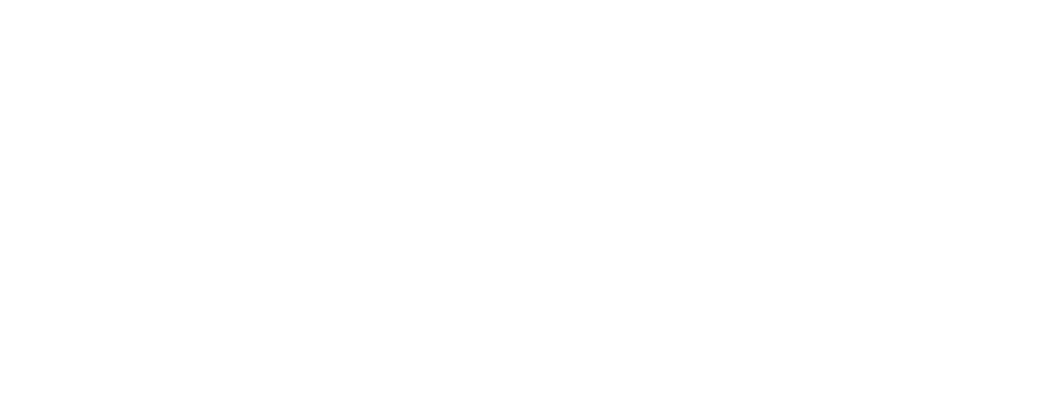 Birmingham Lions Akademi