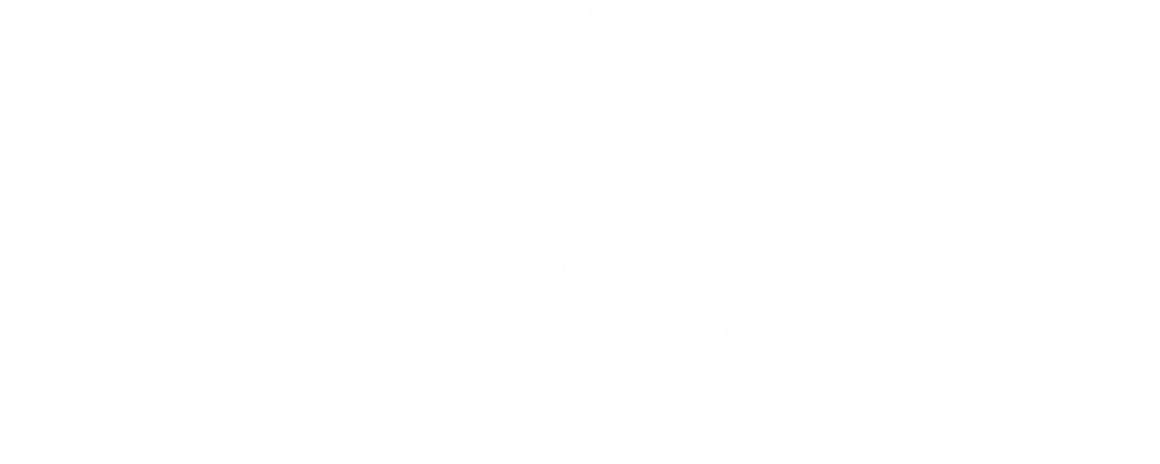 Bobcats di Bournemouth