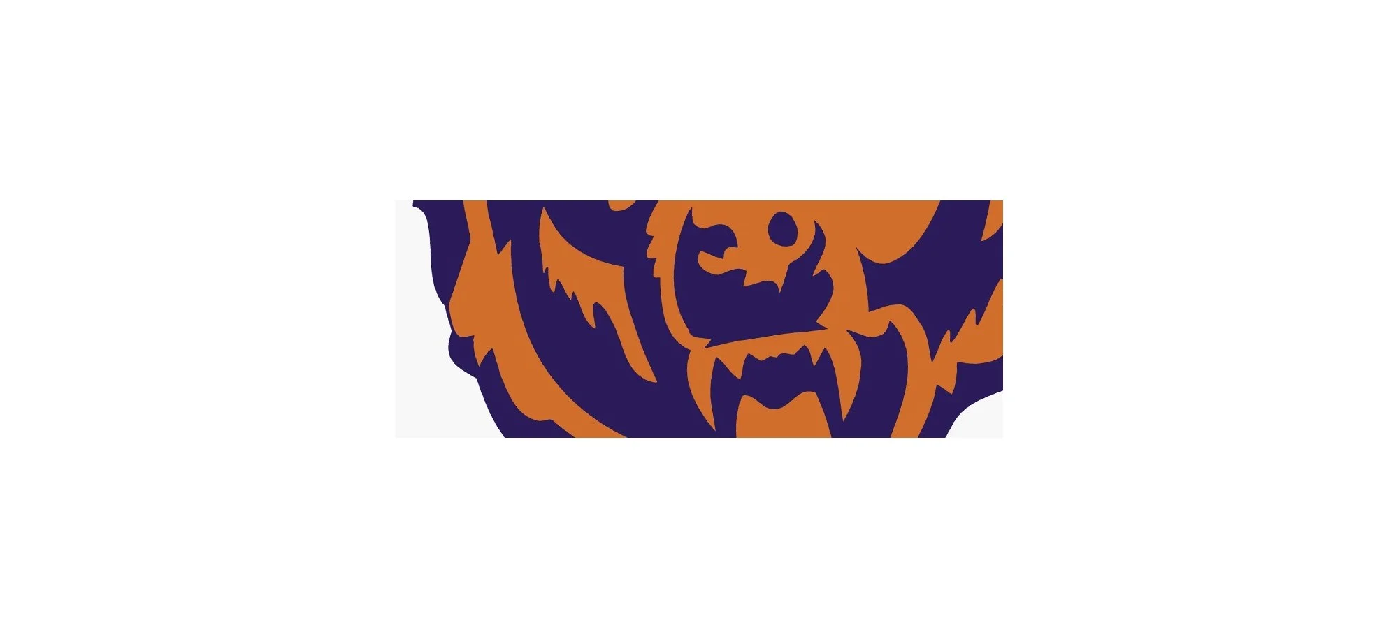 Rensning Chicago Bears