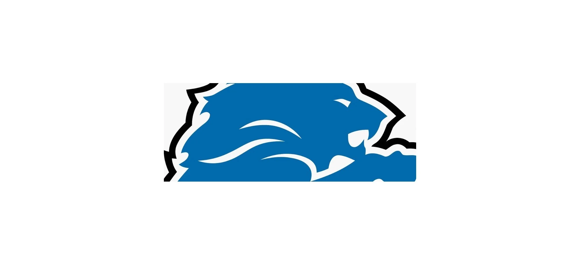 Liquidazione Detroit Lions