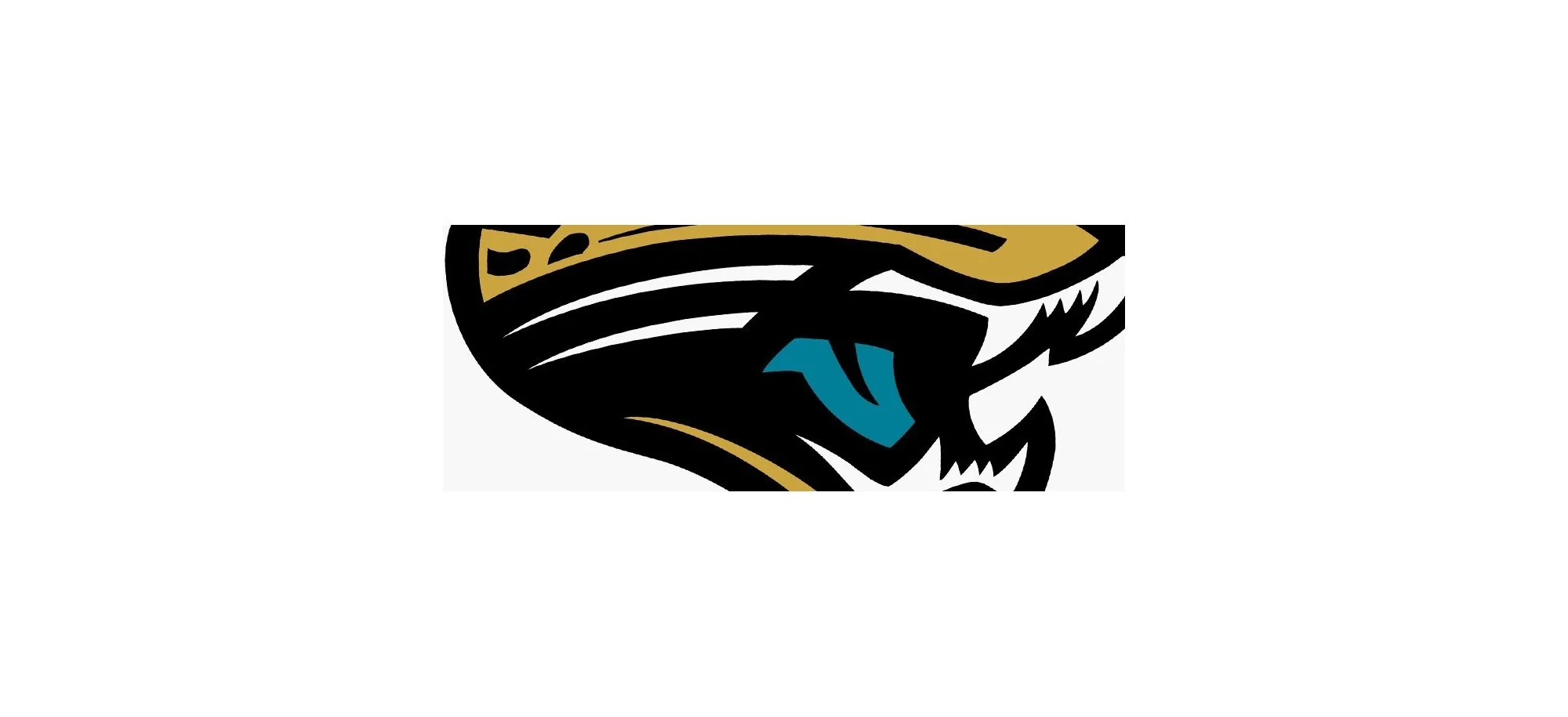 Liquidation Jacksonville Jaguars