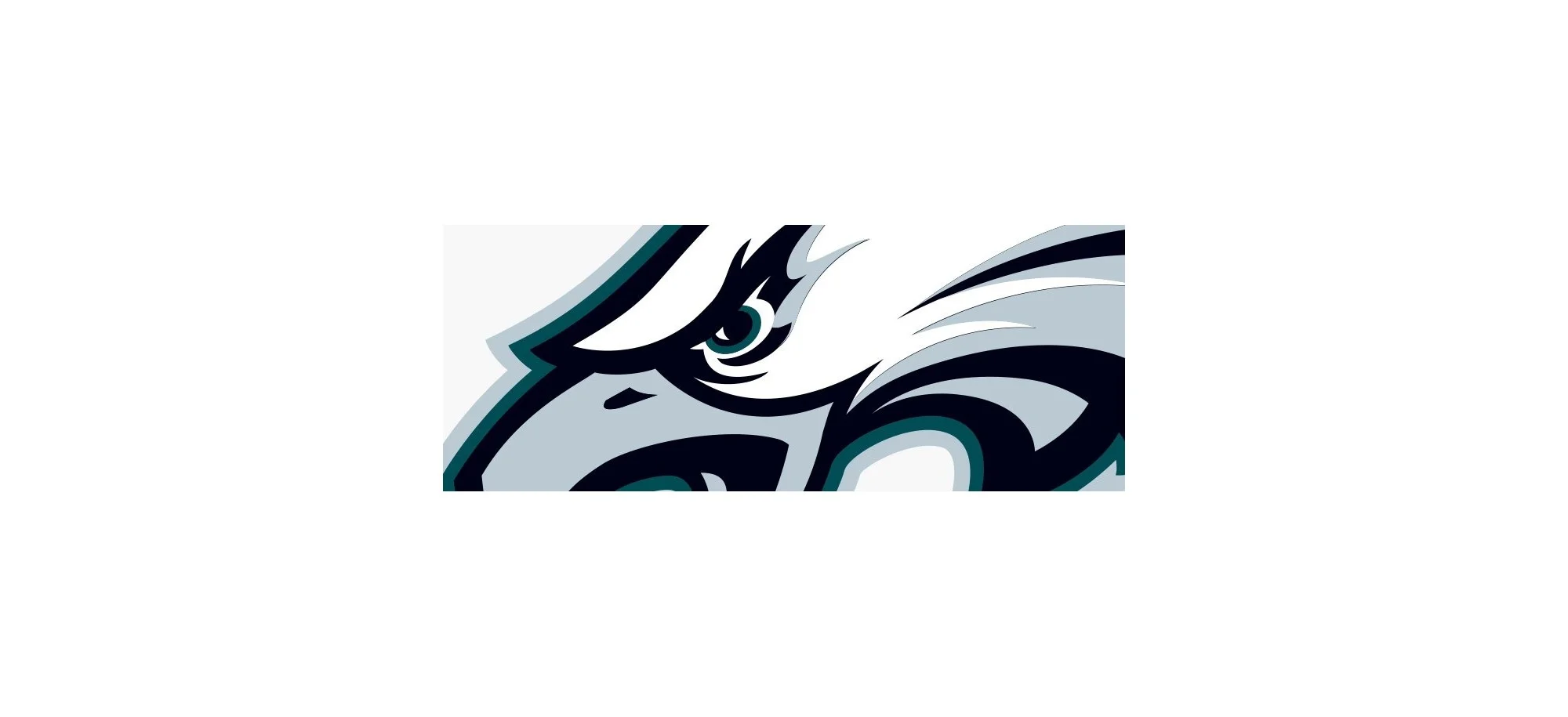 Rensning Philadelphia Eagles