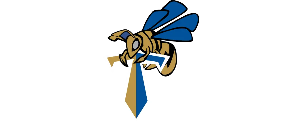 Manchester Titans Abeilles