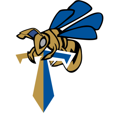 Manchester Titans Bees