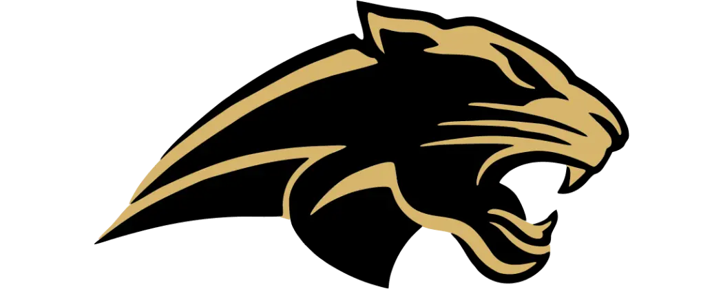 Panthères de Leicester