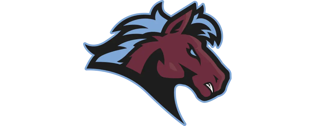 Caricatori di Canterbury