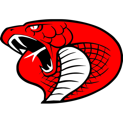 Cardiff Cobras