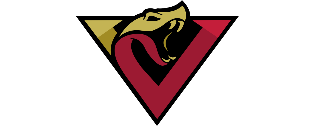 Nordwest Vipers Flag Football