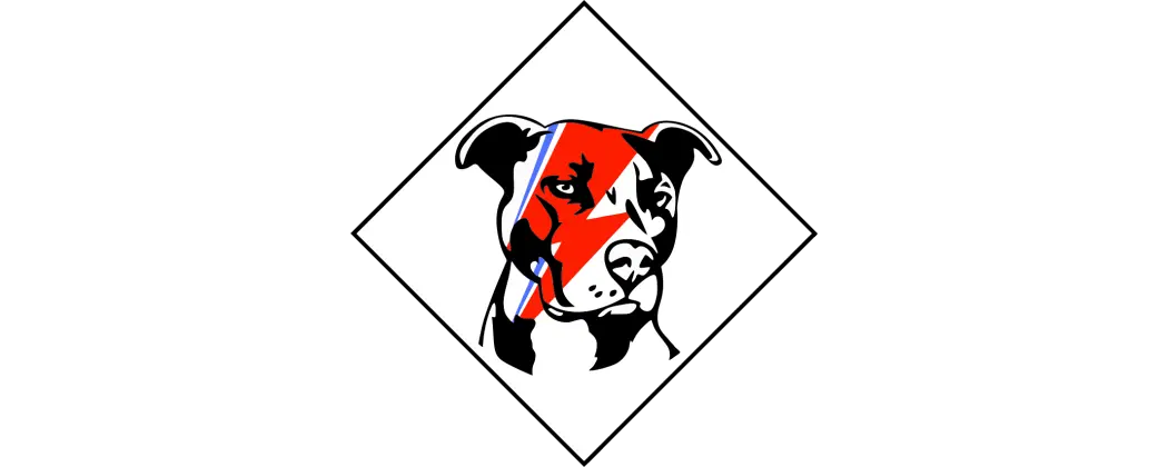 Diamond Dogs