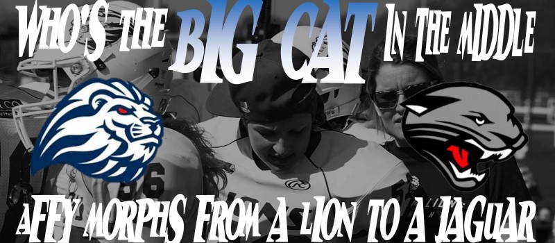 Who’s The Big Cat In The Middle?